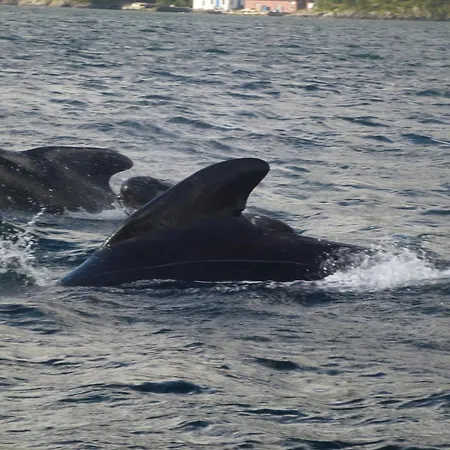 Langenuen & Motell Stord