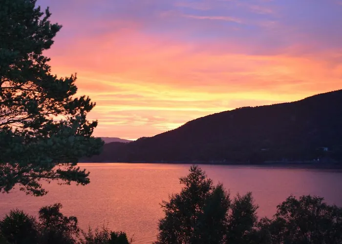 汽车旅馆 朗格纽尼露营汽车旅馆